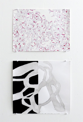 Philip Bradshaw, 2016